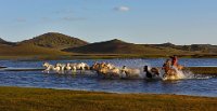 170 - WATER IN THE GALLOP - MO ZHIGANG - china <div